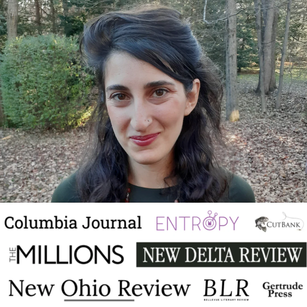 A Room of One's Own: Demystifying Artist Residencies Zoom Seminar with Arya Samuelson on Saturday, May 16th, 2026